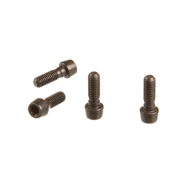 SRAM Faceplate Bolt Kit for SL Sprint 11.6518.003.000