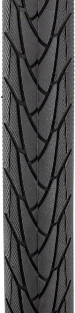 Schwalbe Marathon Plus Tire - 700 x 28 Clincher Wire Black/Reflective Performance Line